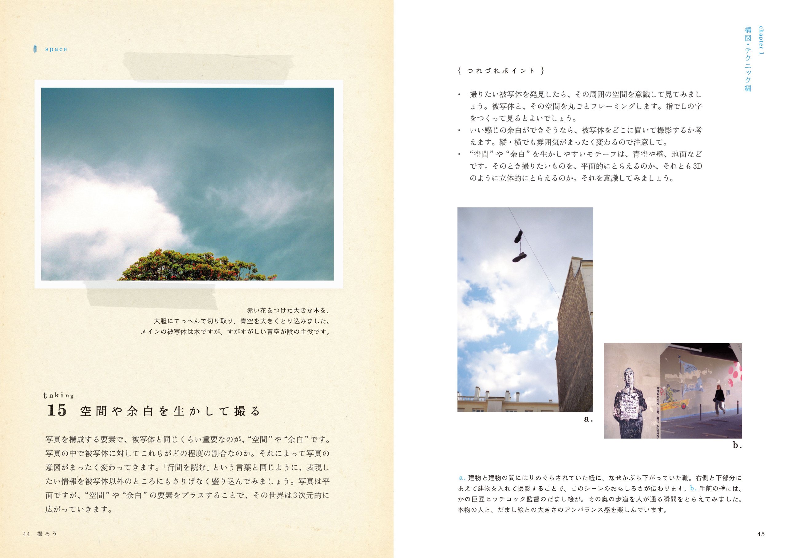 Amazon.co.jp: saorin: 本、バイオグラフィー、最新アップデート